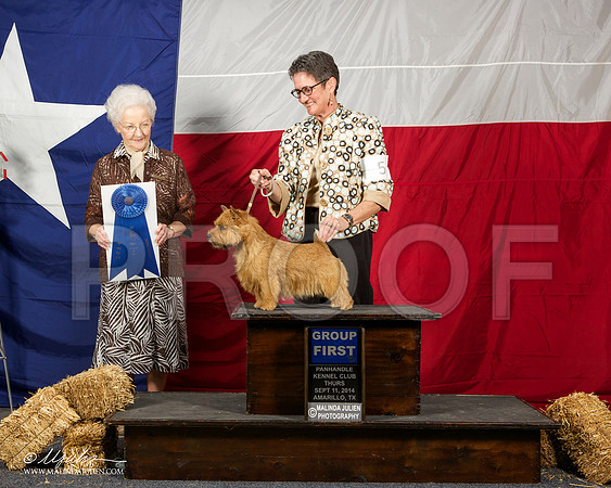 _ST_1398-AmarilloSep2014-HR3