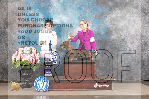 Dachshund #12 FRI G4 Judge Barbara Alderman_MJ_5787_Houston_2022_HR3