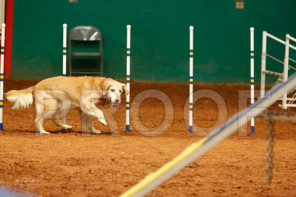 _J8_5563-WFOct2013-HR