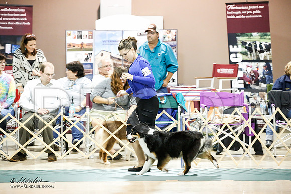 _JJ_2723-ASCACollegeStationNov2014-HR3