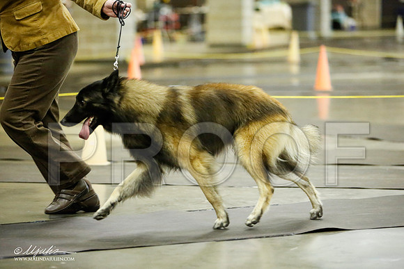 _JJ_6135-BeltonJan2015IABCA-HR3