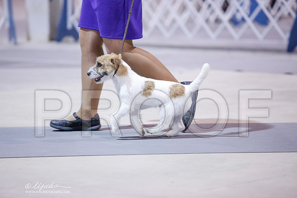 _JN_8912-SAJul2014-HR3