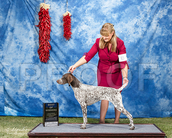 _ST_3669-AlamogordoOct2014-HR3