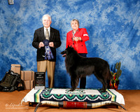 Belgian Sheepdog #19 Fri AOM +A1