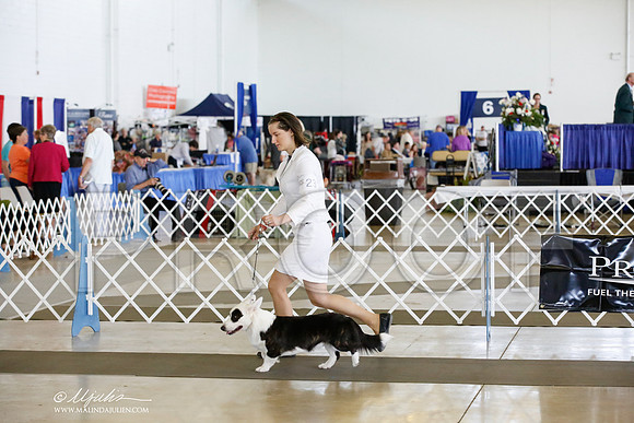 _CK_8062-DallasJul2014-HR3