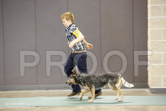 _JN_2275-BeltonJan2015-HR3
