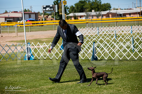_JJ_8366-AlamogordoOct2014-HR3