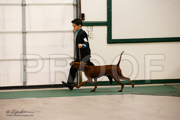 _JN_0693-NrmnNov2014-HR3