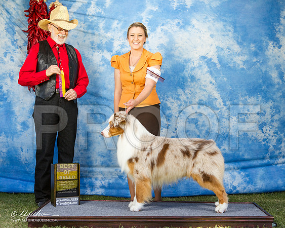 _ST_3169-AlamogordoOct2014-HR3
