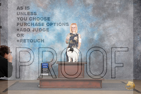 Pomeranian #273 Sat G1 Judge Matthew Proctor__JP_2686_LongviewTX_2024_HR3
