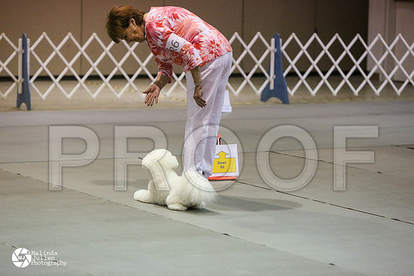 MJ2_0409-MsqtApr14-HR3
