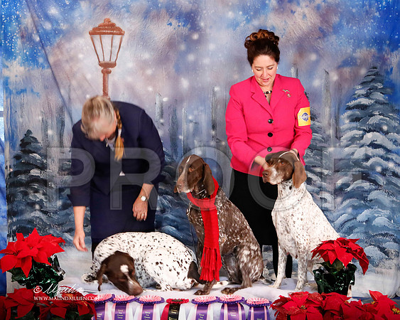 GSP-7123-MrshlDec13-HR