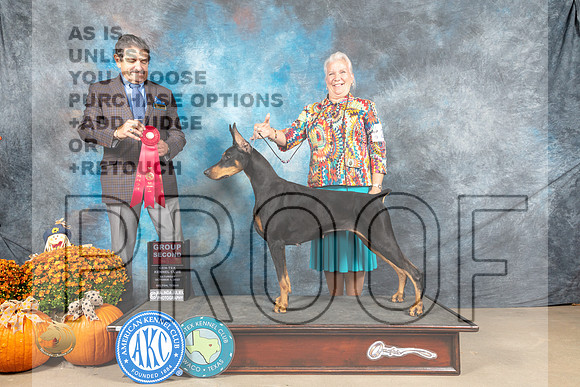Doberman Pinscher #22 Sat G2 Judge Lloyd Graser_MJ_5853_Belton_2022_HR3
