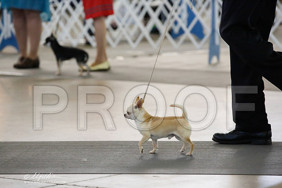_CK_0015-DallasJul2014-HR3