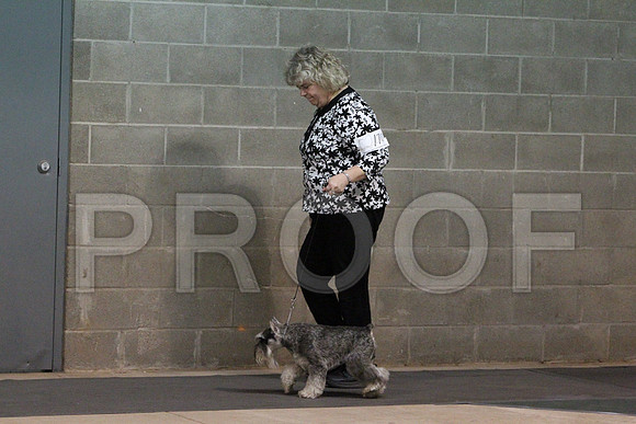MiniSchCCL_1819LR