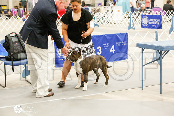 _CK_8710-AblnMay2014-web