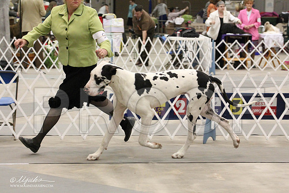 IMG_9007-Abilene2011-HR3