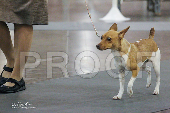 Rat-0231 PROOF