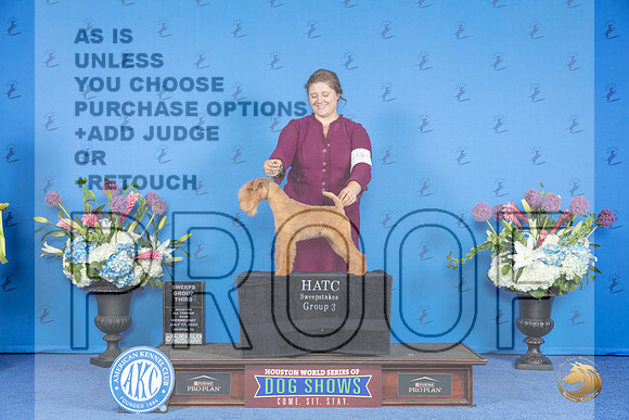 Lakeland Terrier #5 WED SwG3 Judge Paula Cohen__JP_8435_Houston_2024_HR3