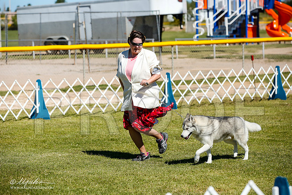 _JJ_0273-AlamogordoOct2014-HR3