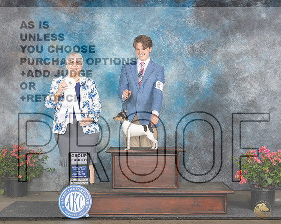 Toy Fox Terrier #12 Fri G4 Judge Azalea Alvarez__JP_4212e_San Antonio_2024-HR3.jpg