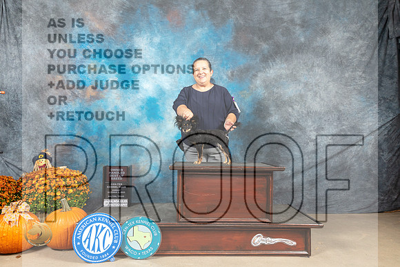Russian Toy #8 Sun OHBOB Judge Shelley Hennessey_MJ_6859_Belton_2022_HR3