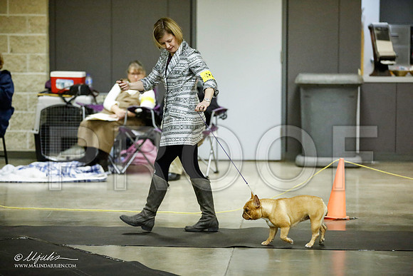 _JJ_5893-BeltonJan2015IABCA-HR3