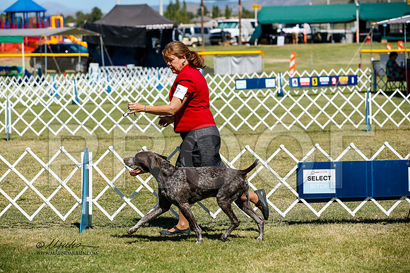 _JJ_3690-AlamogordoOct2014-HR3