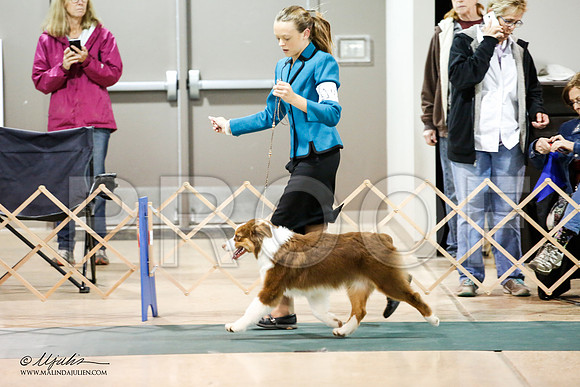 _JJ_1485-ASCACollegeStationNov2014-HR3
