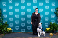 American Bulldog Polly