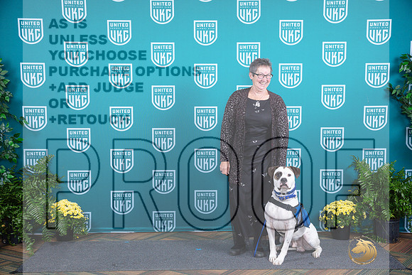 American Bulldog Polly__JP_2866_UKCTDI2024_HR3