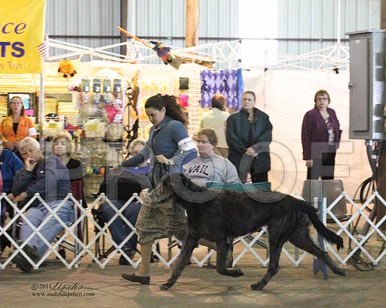 Group Hound Saturday - 0010-5