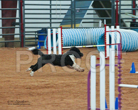 JWW Nov 16-4006-LR