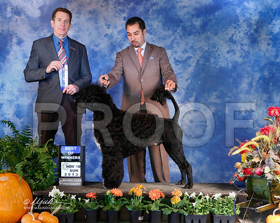 PWD-5433-HstnNov13-HR