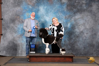Poodle Standard MC #212 Sat G1 Judge Matthew Proctor
