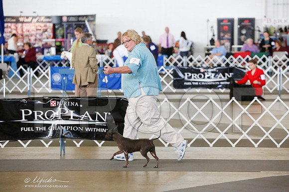 _JJ_7647-DallasJul2014-HR3