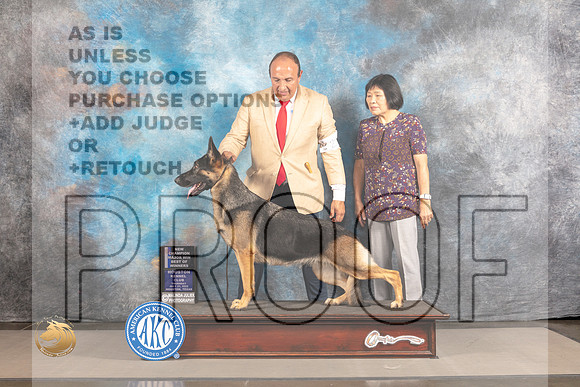 German Shepherd Dog #20 THUR WBBOW Judge Polly Smith_MJ_3520_Houston_2022_HR3