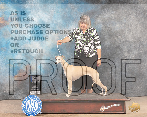 Whippet #6 Sun BOWM Judge Pat Trotter-MMJ_5064-Abilene2022-HR3