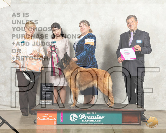 Belgian Shepherd Dog #497 Thur Top108th__MJ_7538_Premier_2022_HR3