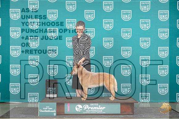 Australian Cattle Dog #112 Thur SemiF Judge Sharon Griffin__JP_1112_Premier_2024_HR3