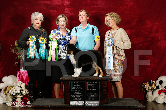 _ST_3025-2-BeltonJan2015IABCA-HR3