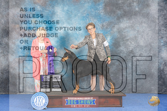 Doberman #40 WED WD NC Judge Nancy Liebes__JP_7310_Houston_2024_HR3