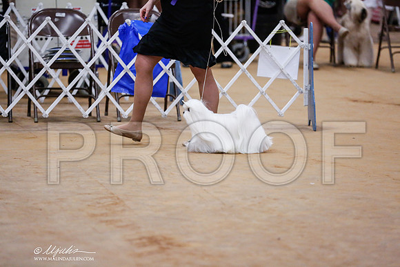 _RH_7732-TxArJun2014-HR3