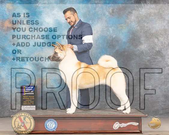 Akita #6 Fri BOBBOW Judge Donnelle RichardsMMJ_3336_Mdlnd2022_HR3
