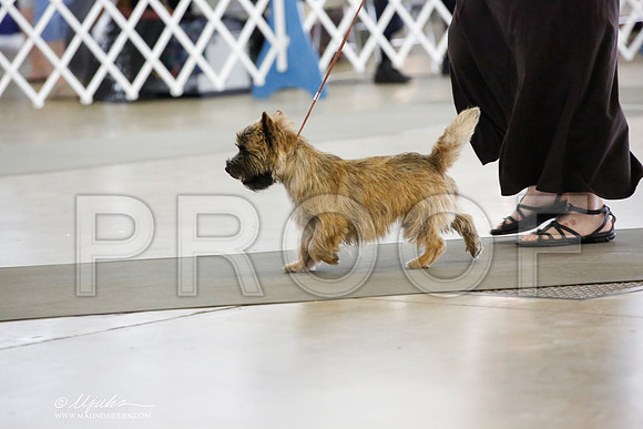 _JN_4814-DallasJul2014-HR3