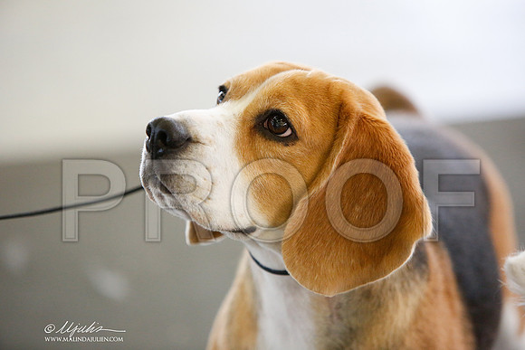 _JJ_2792-DallasJul2014-HR3