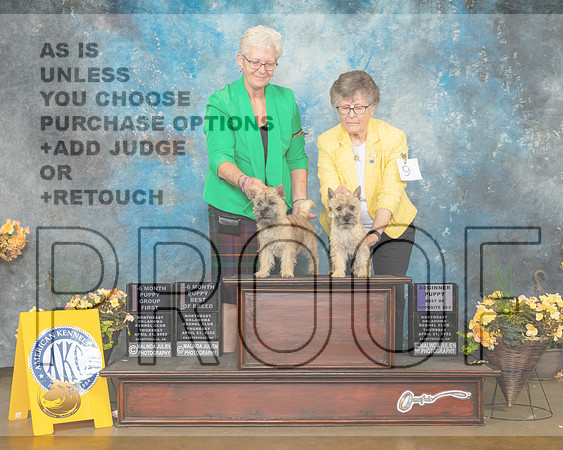 Cairn Terrier #9 PBOBPG1 #8PBOS Judge John Wade-MMJ_8723-NWARK2022-HR3