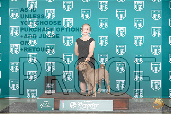 Chinese Shar Pei #1179 Thur NtlTJr4th Judge Kathie Short__JP_1357_Premier_2024_HR3
