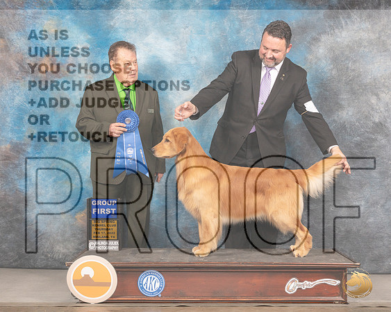 Golden Retriever #44 Thurs G1 Judge Del RichardsMMJ_2689_Mdlnd2022_HR3