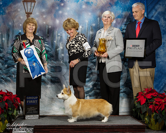 _ST_8793-DallasDec2014-HR3
